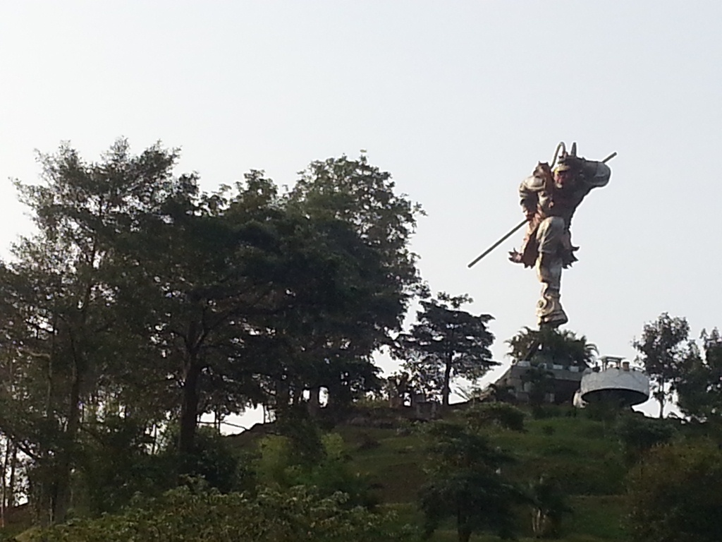 趋势 趋势