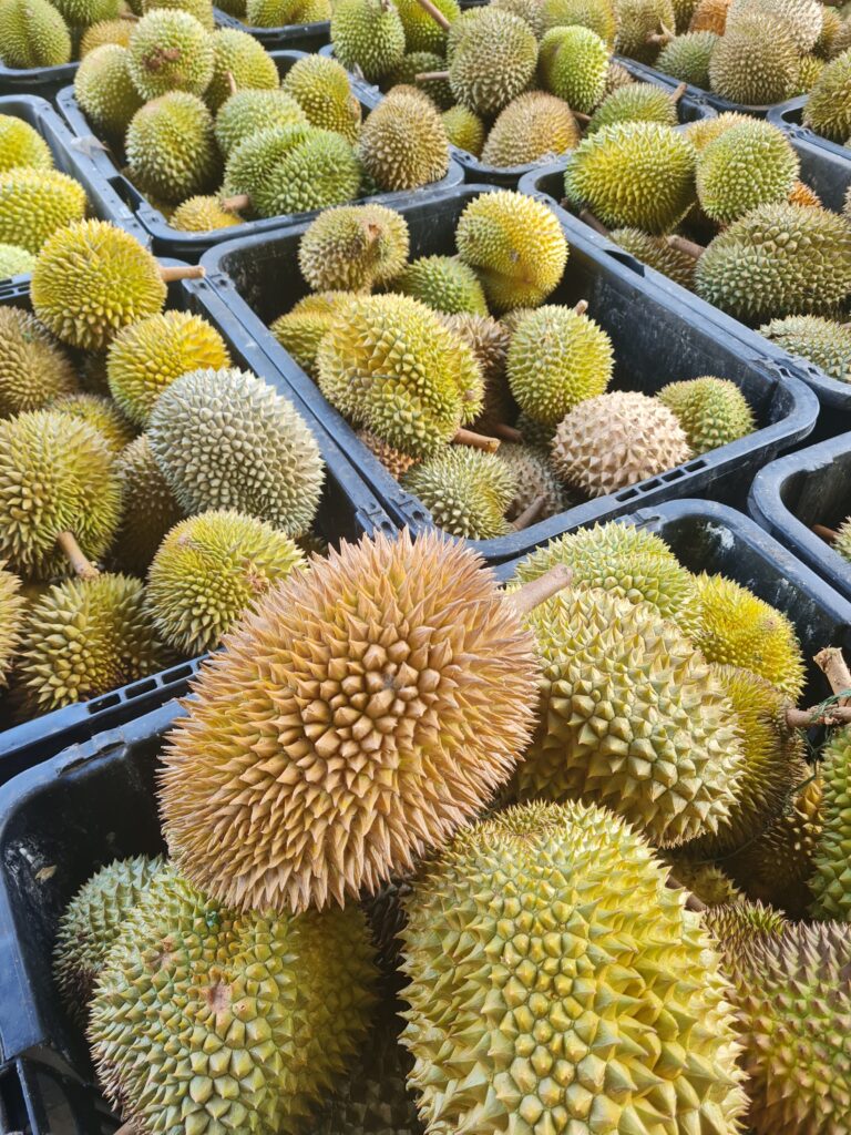 Durian