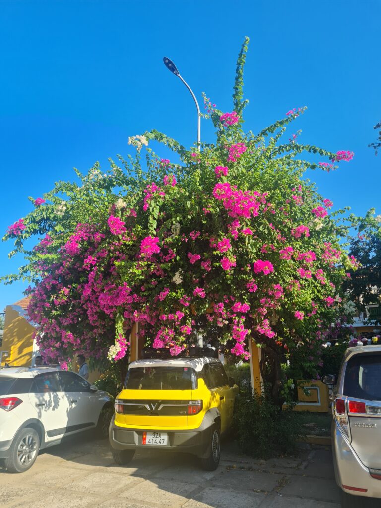 Hoi An UNESCO Heritage Site