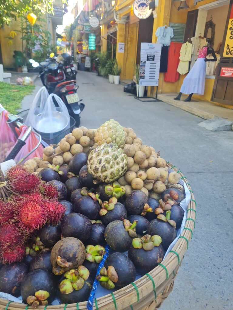 Hoi An UNESCO Heritage Site