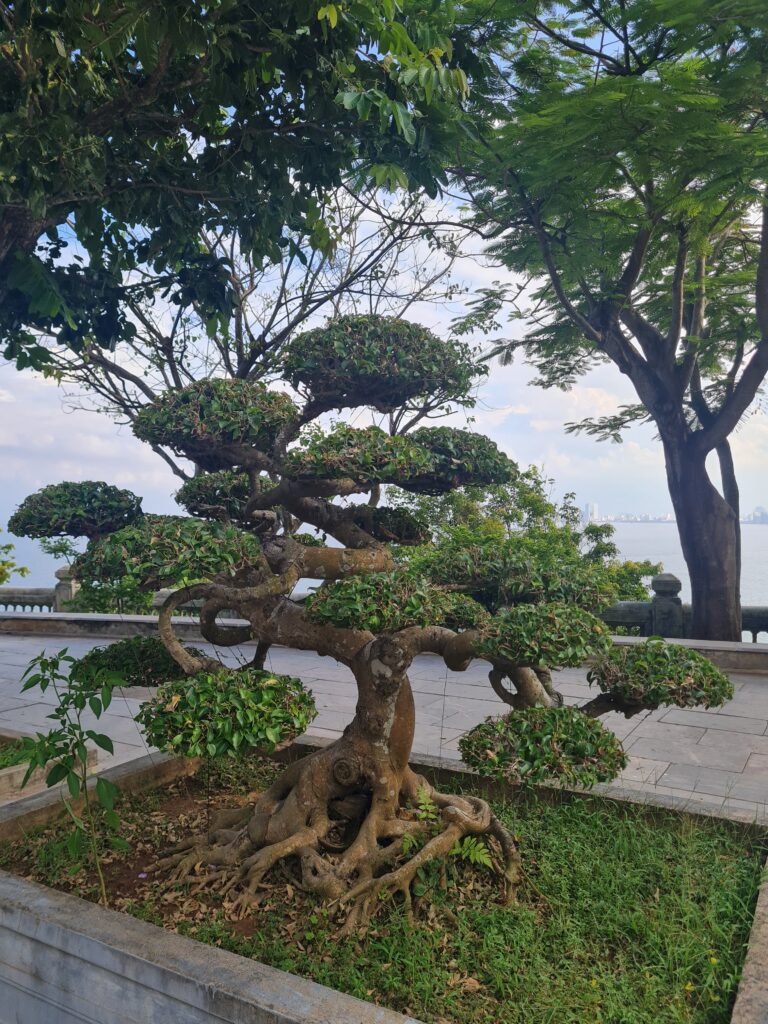 Linh Ung Pagoda, Da Nang, Vietnam