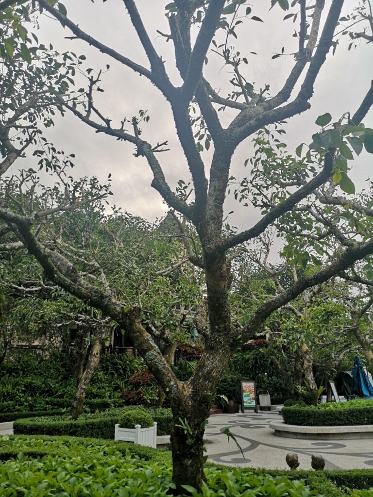 Le Jardin d’Amour (Ba Na Hills) 