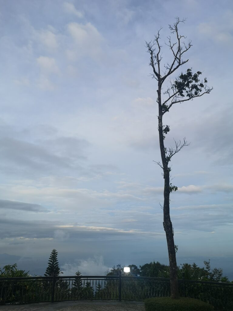 Suoi Mo Garden Ba Na Hills
