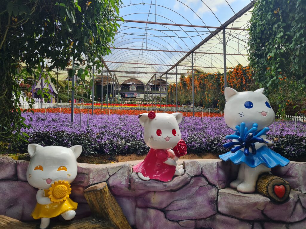 Cameron Lavender Garden, Cameron Highlands