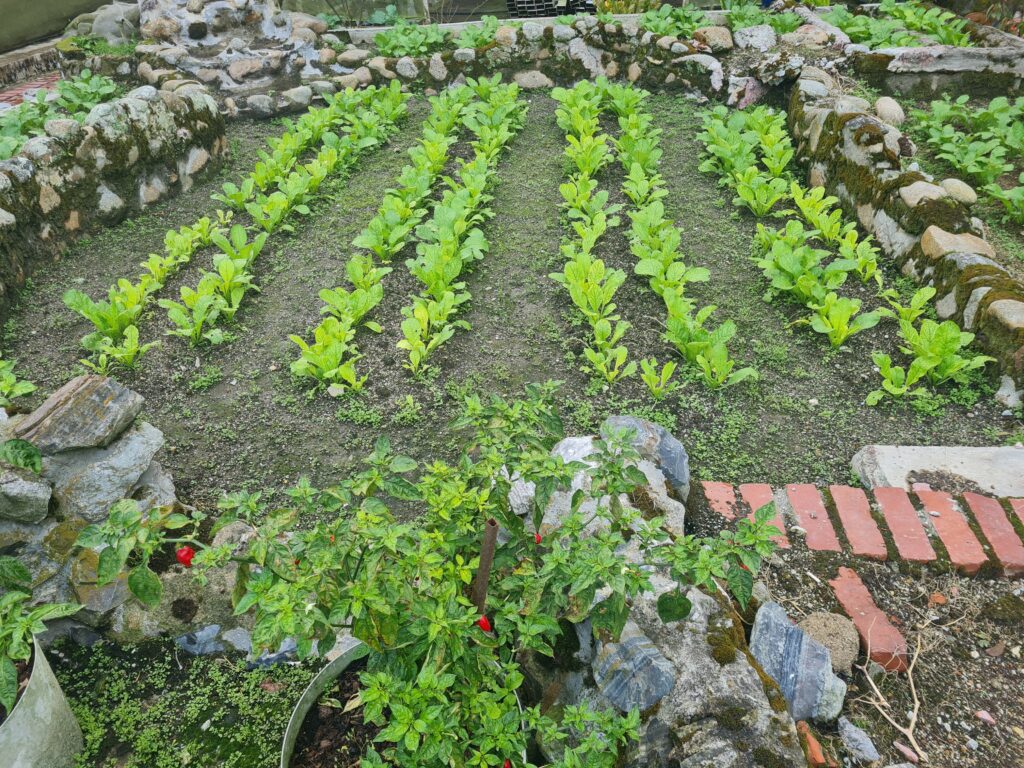 Fraser’s Hill Edible Garden Eco Farm