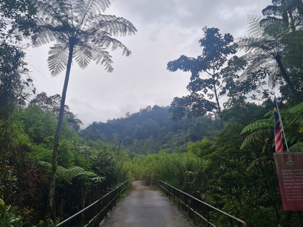 Jeriau Waterfall Fraser’s Hill hiking guide