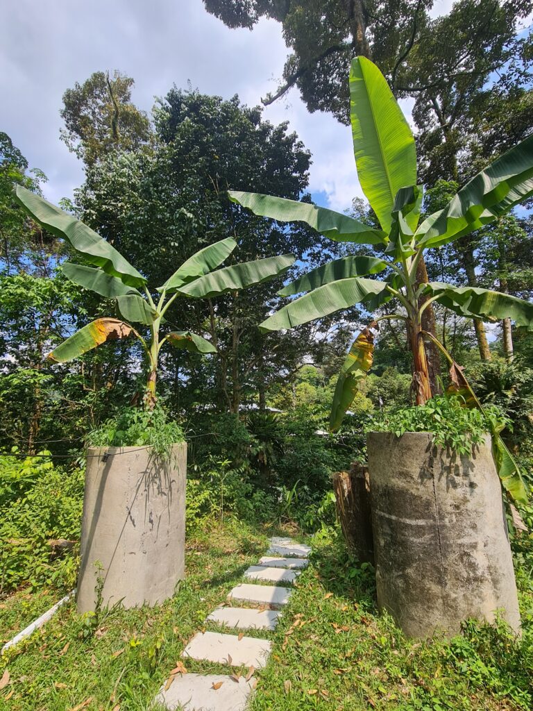Manggis Palimbayan Forest Café KL entrance