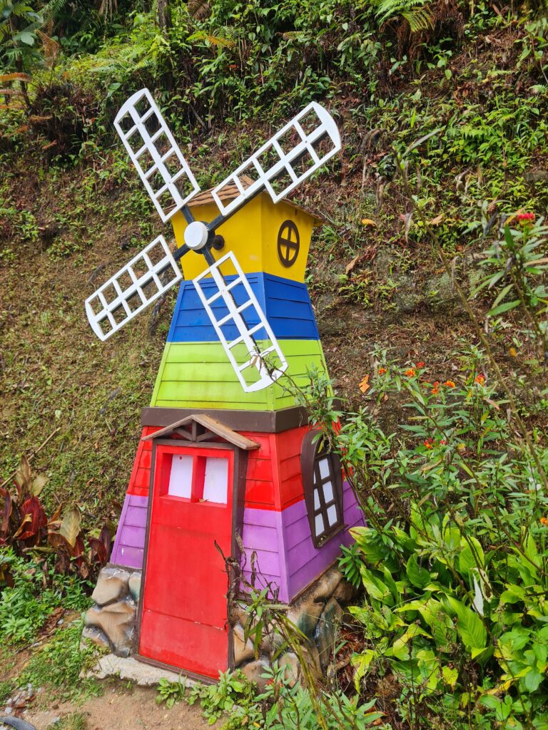 The Paddock Fraser’s Hill: A Family Nature Attraction with Horses & Gardens