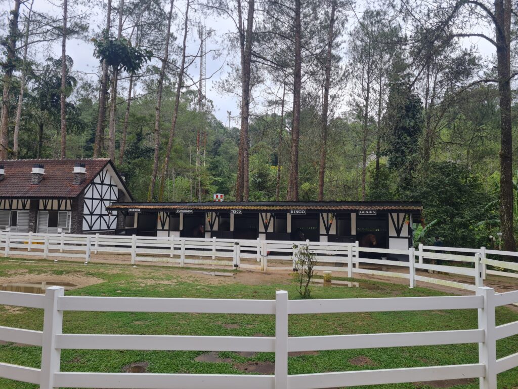 The Paddock Fraser’s Hill: A Family Nature Attraction with Horses & Gardens