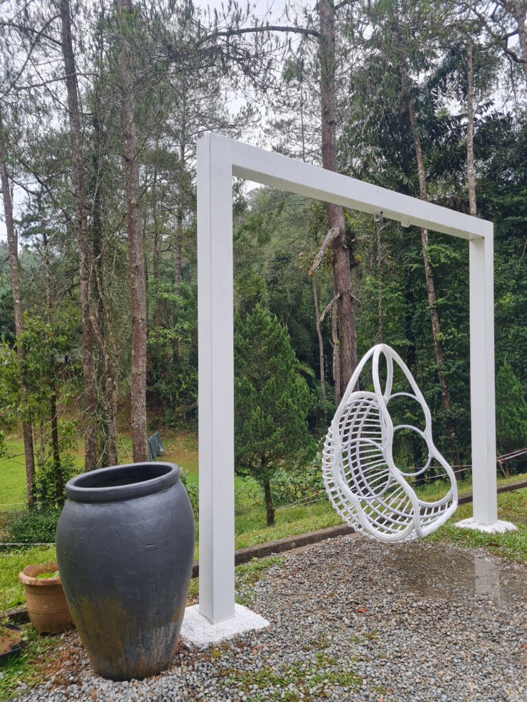 The Paddock Fraser’s Hill: A Family Nature Attraction with Horses & Gardens