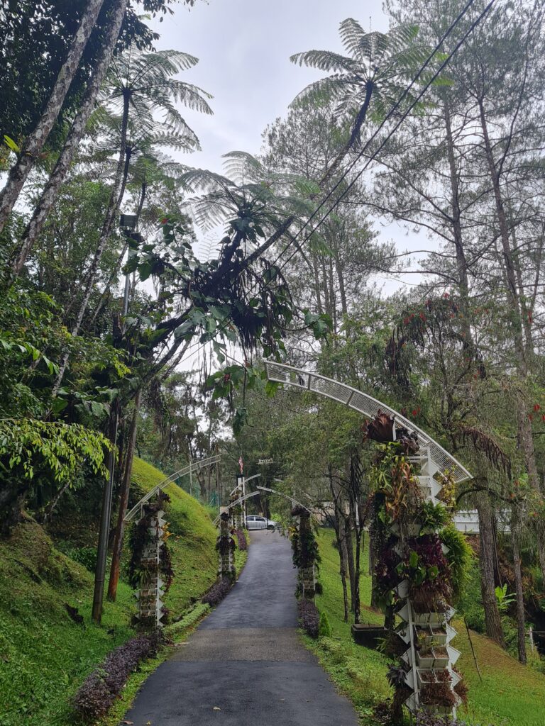 The Paddock Fraser’s Hill: A Family Nature Attraction with Horses & Gardens
