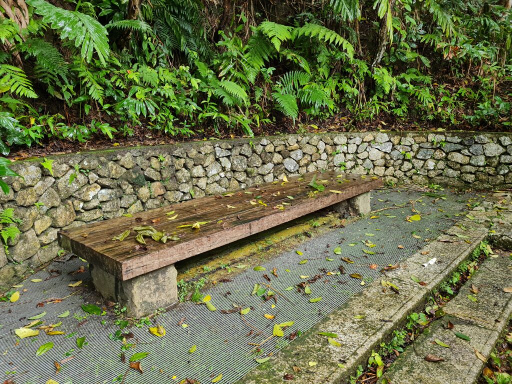 Penang Hill Nature Walk Malaysia
