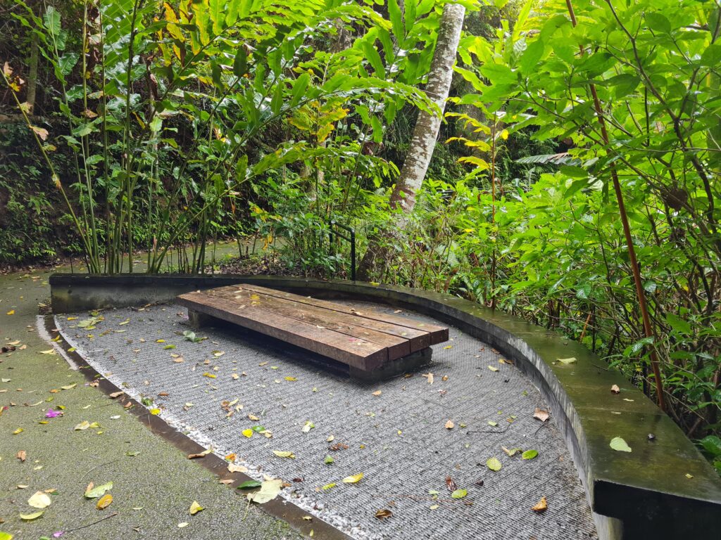 Penang Hill Nature Walk Malaysia