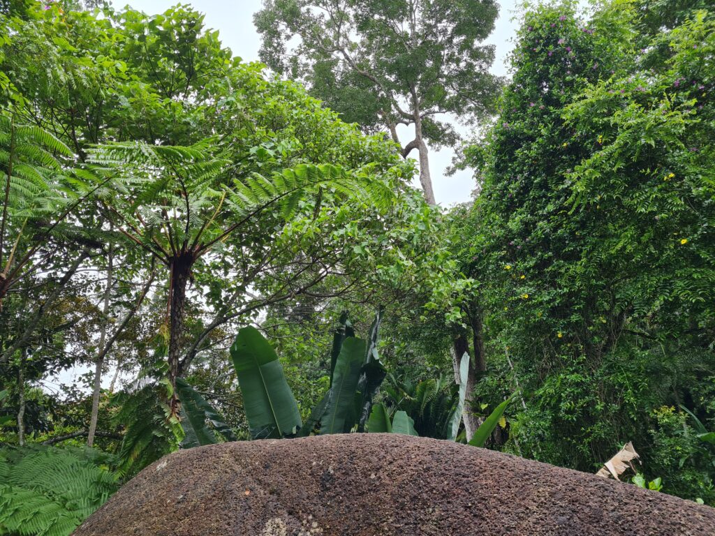 Penang Hill Nature Walk Malaysia