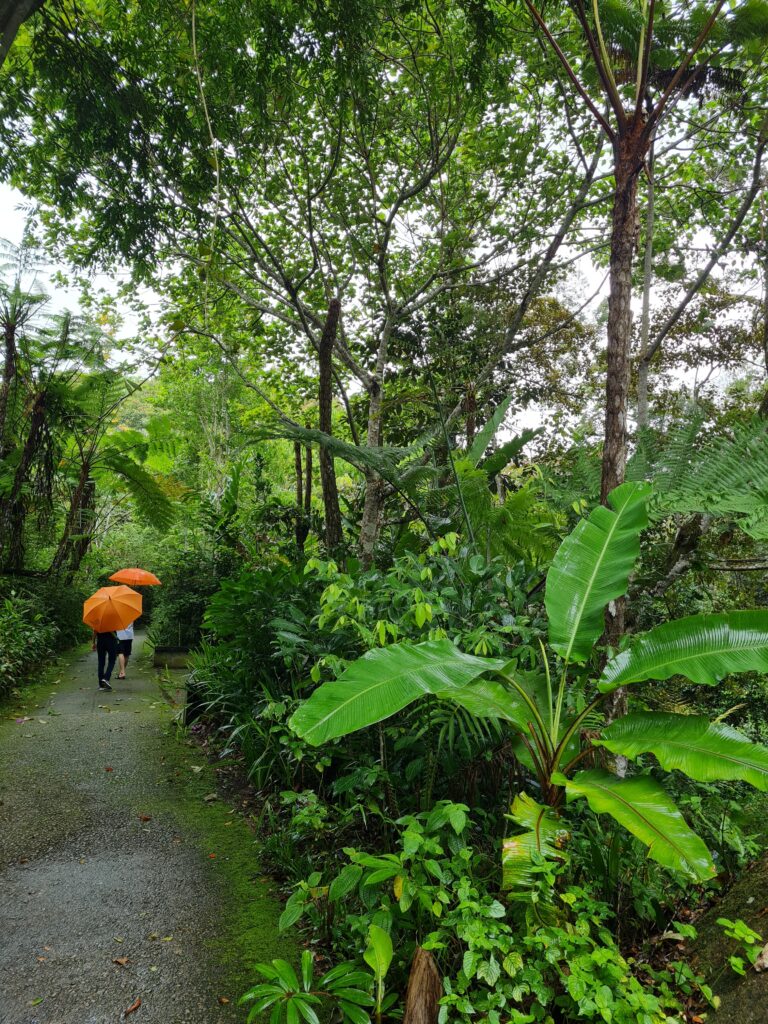 Penang Hill Nature Walk Malaysia