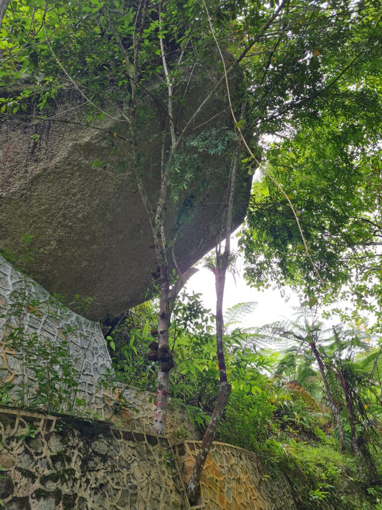 Penang Hill Nature Walk Malaysia
