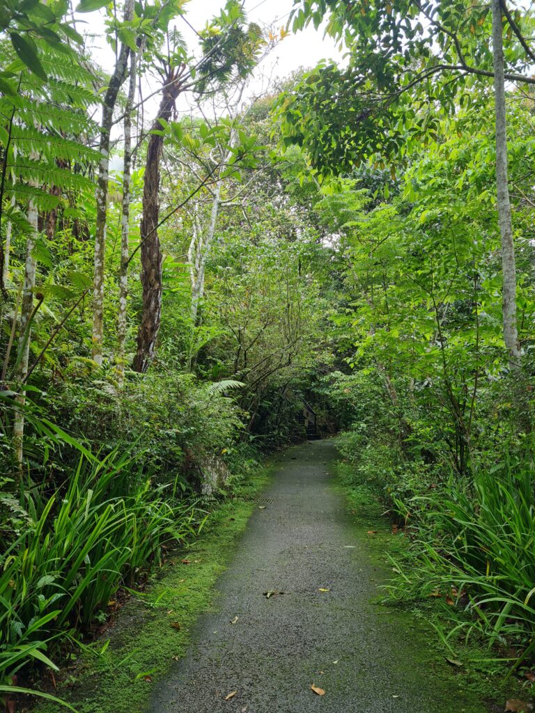 Penang Hill Nature Walk Malaysia