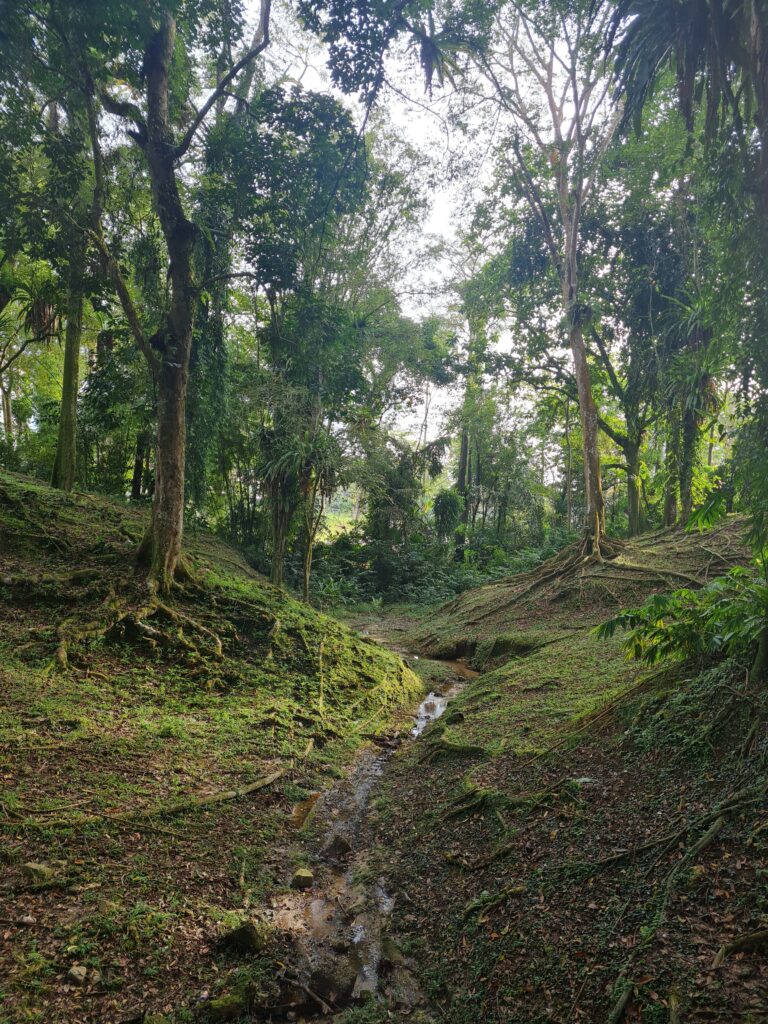 Taman Perpaduan Kuching Park