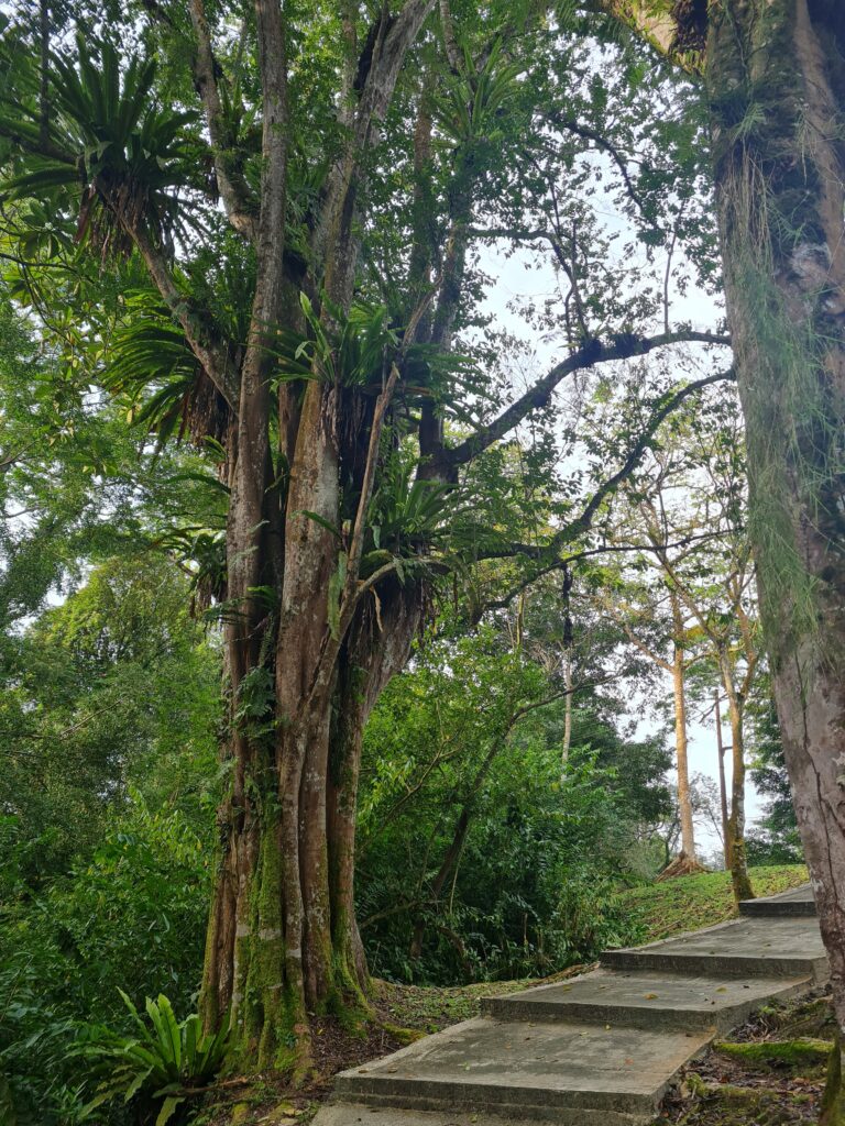 Taman Perpaduan Kuching Park Staircase