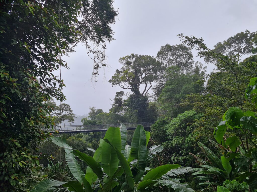 The Habitat Penang Hill Malaysia