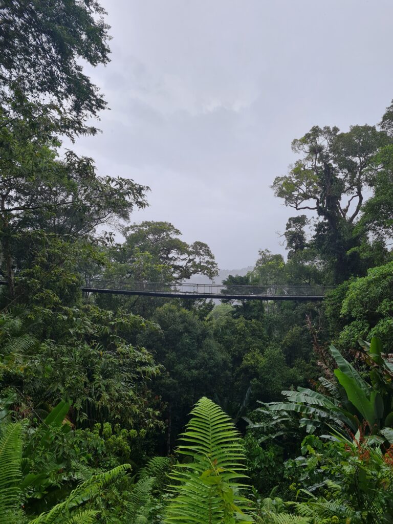 The Habitat Penang Hill Malaysia