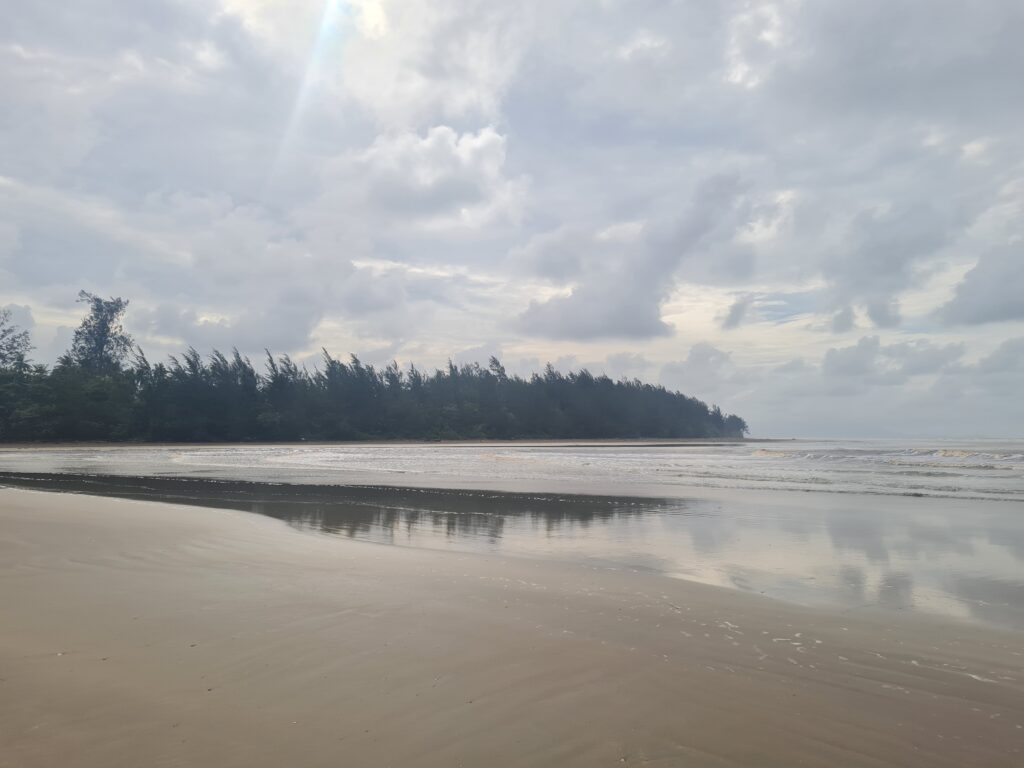 Artistic reflection of Casuarina trees on the wet sand at Redbee Camp beach, Lundu.