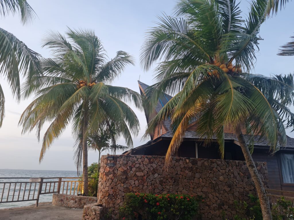 Tropical scenery with coconut palms and stone walls along the private beach path.