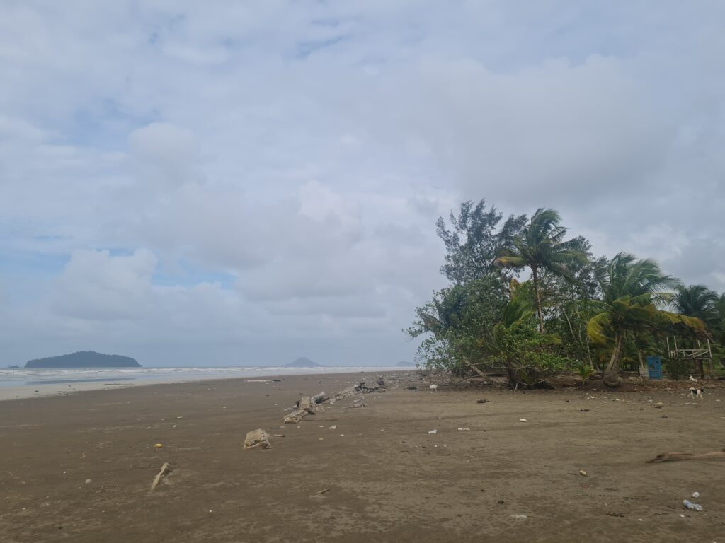 Rustic driftwood scenery on the shore of Redbee Camp with cloudy sky background.