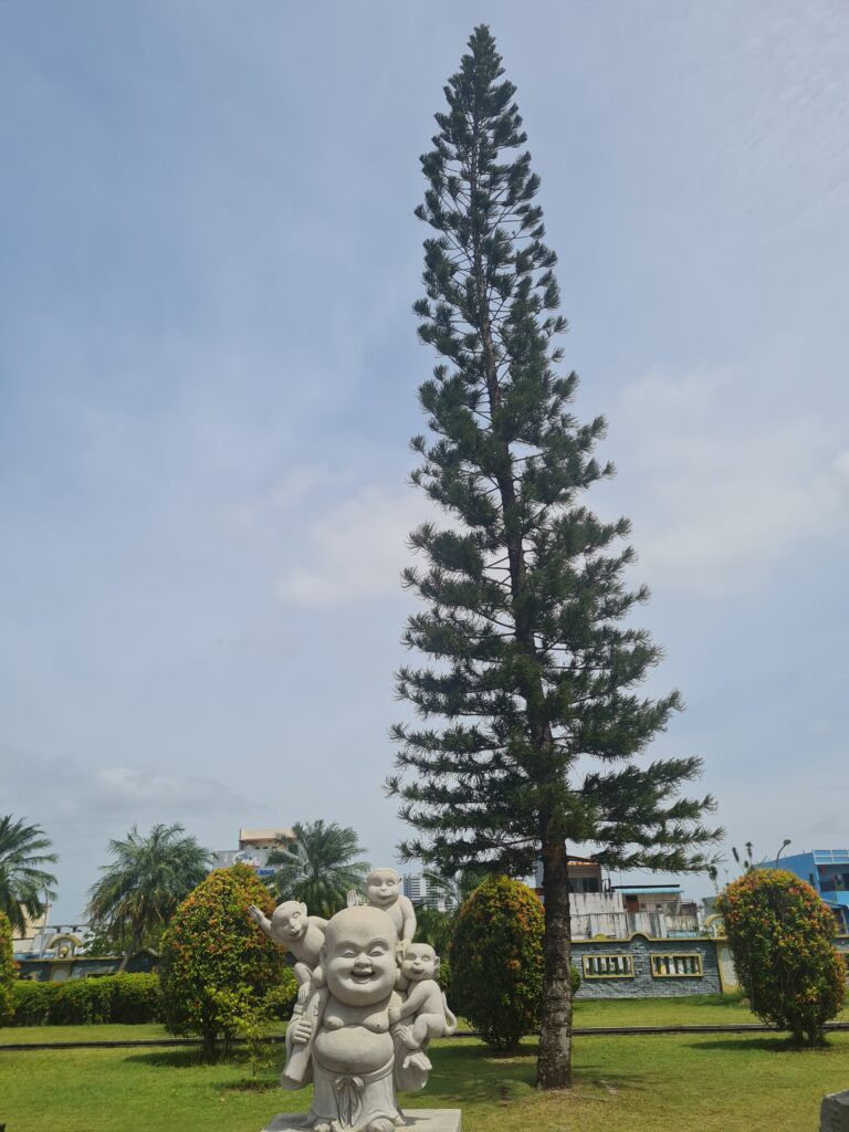 Laughing Buddha statue surrounded by small figures under a tall pine tree against a blue sky.