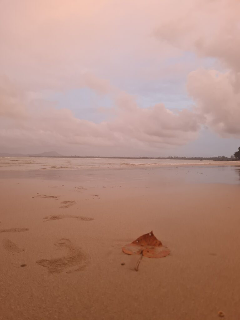 Close up of a dried leaf on the wet sand of Siar Beach facing the ocean with a mountain far behind, showcasing minimalist nature photography.