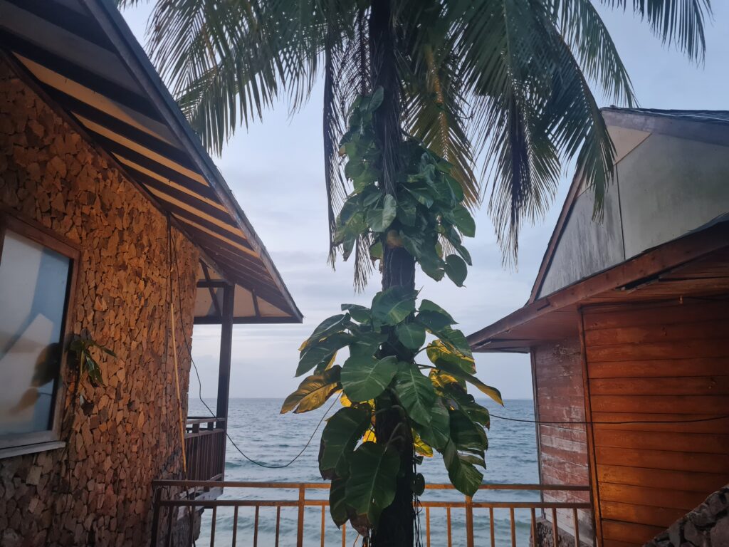 Vines growing on palm trees next to a stone villa suite at Batam View Beach Resort.