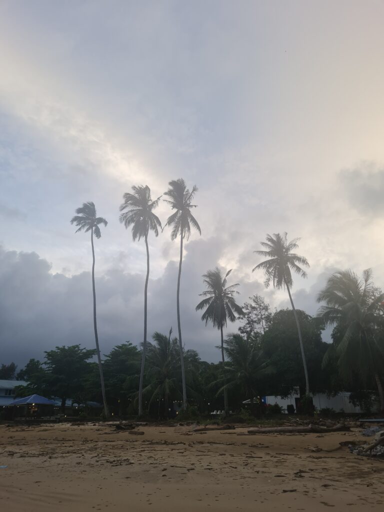 Moody dramatic sky over coconut palms on the shores of Siar Beach.