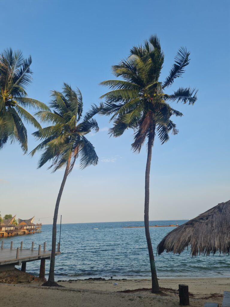 Two tall coconut palm trees against a blue sky at a Batam resort.