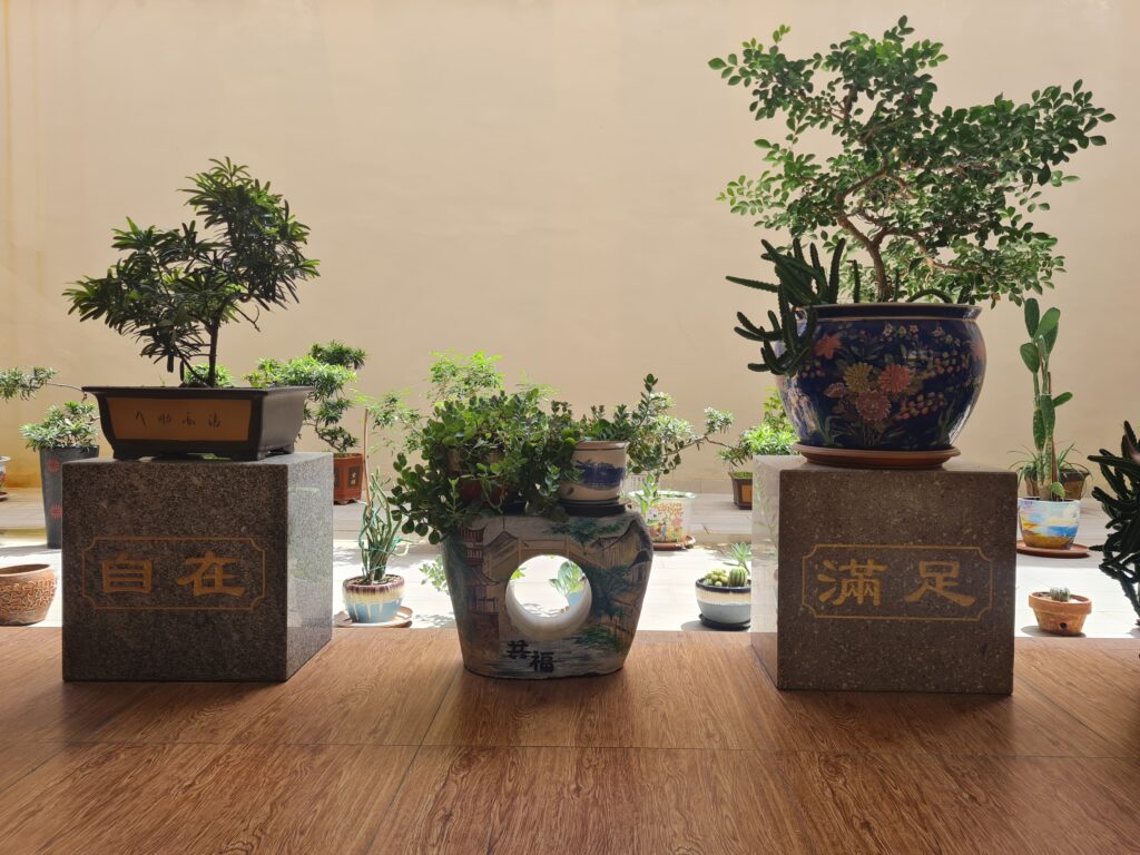 Bonsai trees on stone plinths with Chinese characters for Satisfaction and At Ease.